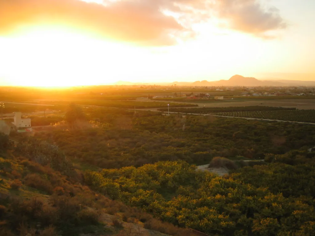 Huerta de Orihuela